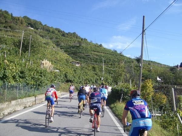 Vines everywhere. How steep are those slopes they're planted on?