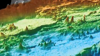 This computer-generated view of the seafloor shows just a few of the hundreds of hydrothermal chimneys in the Endeavour hydrothermal vent field.