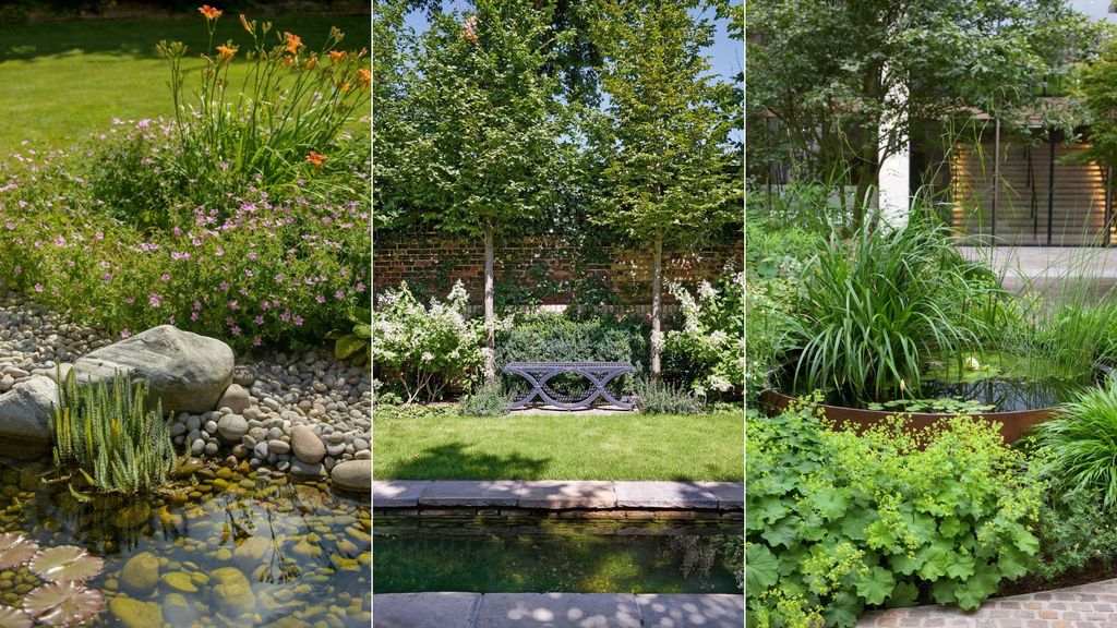 How to build a pond a step by step expert guide Homes & Gardens