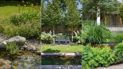 How to build a pond: a step by step expert guide