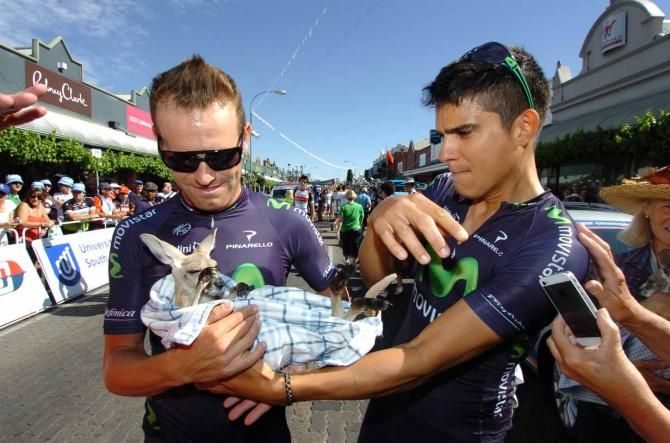 Andrey Amador and Jose Joaquin Rojas battle for custody of a marsupial friend.
