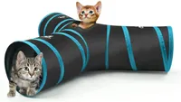 Two kittens playing with the pawaboo cat tunnel