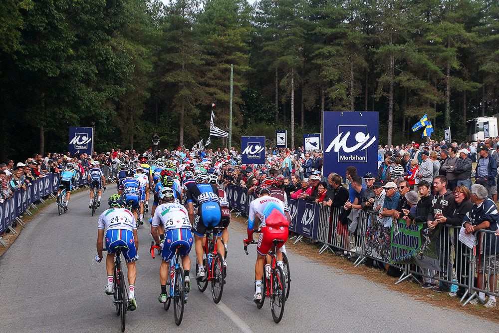 The peloton in action during the European championships