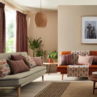 two sofas in a pink living room with plants and rug