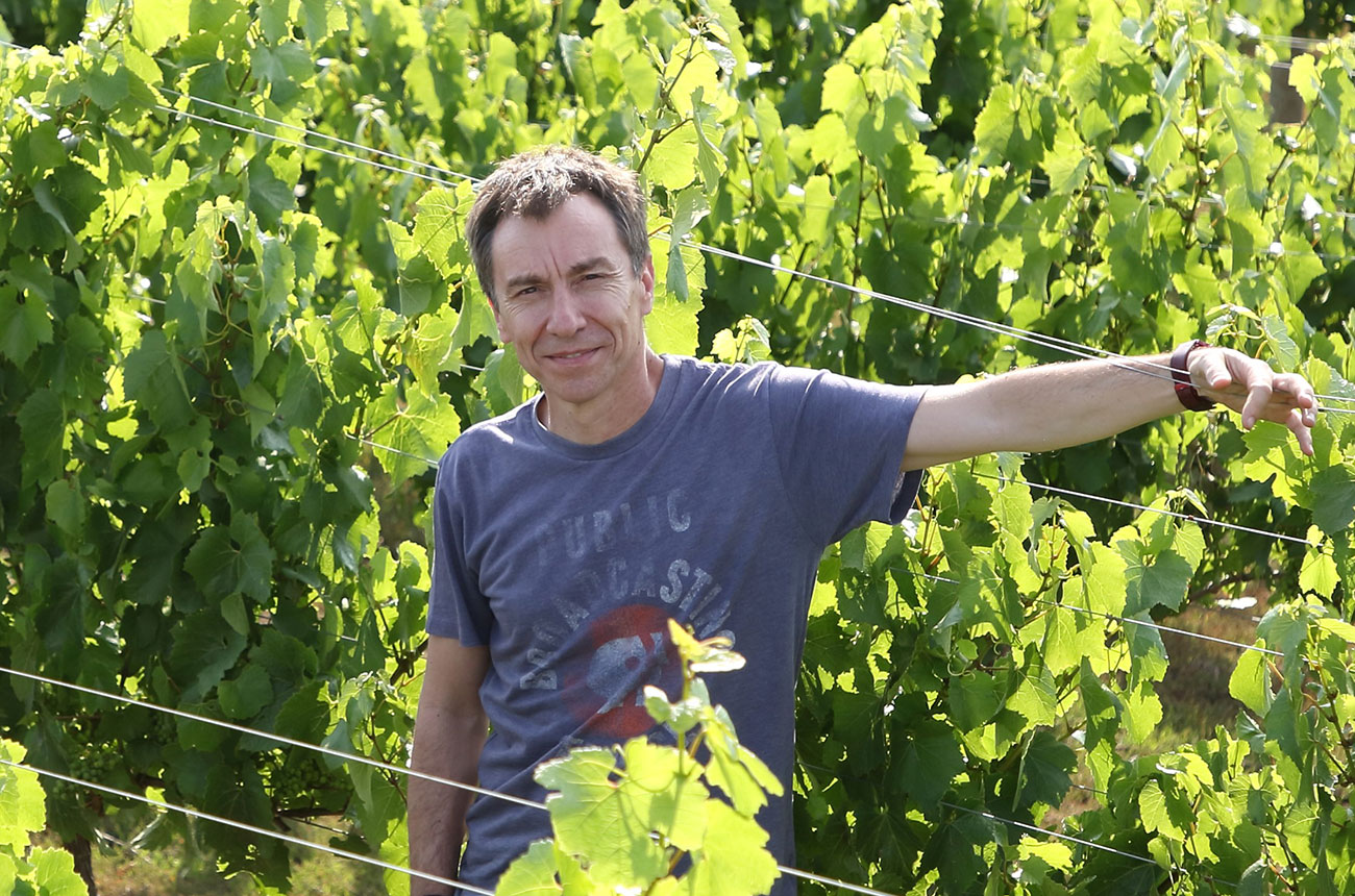 Francisco Baettig, Chadwick family wine group