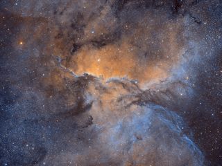 The Fighting Dragons of Ara (NGC 6188). They battle — or maybe kiss — 4,000 light-years out from Earth, in the constellation Ara. As magical as they appear, these dragons are just puffs of dust, eroded by stellar winds, blowing out of the loose association of massive, baby stars behind them. Celestron RASA 8 w/ ZWO1600MM camera. 40 x 60s Hydrogen Alpha 20 x 120s Sulphur II 20 x 120s Oxygen III Combined as HaOHS Total Integration time: 2 hours