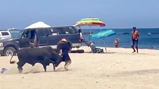 Bull attacks tourist on Mexican beach