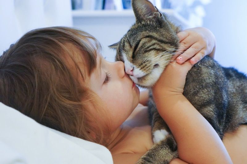 A child holds close and kisses a cat.