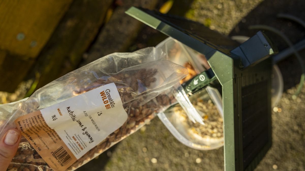 The FeatherSnap Scout bird feeder being filled with seeds