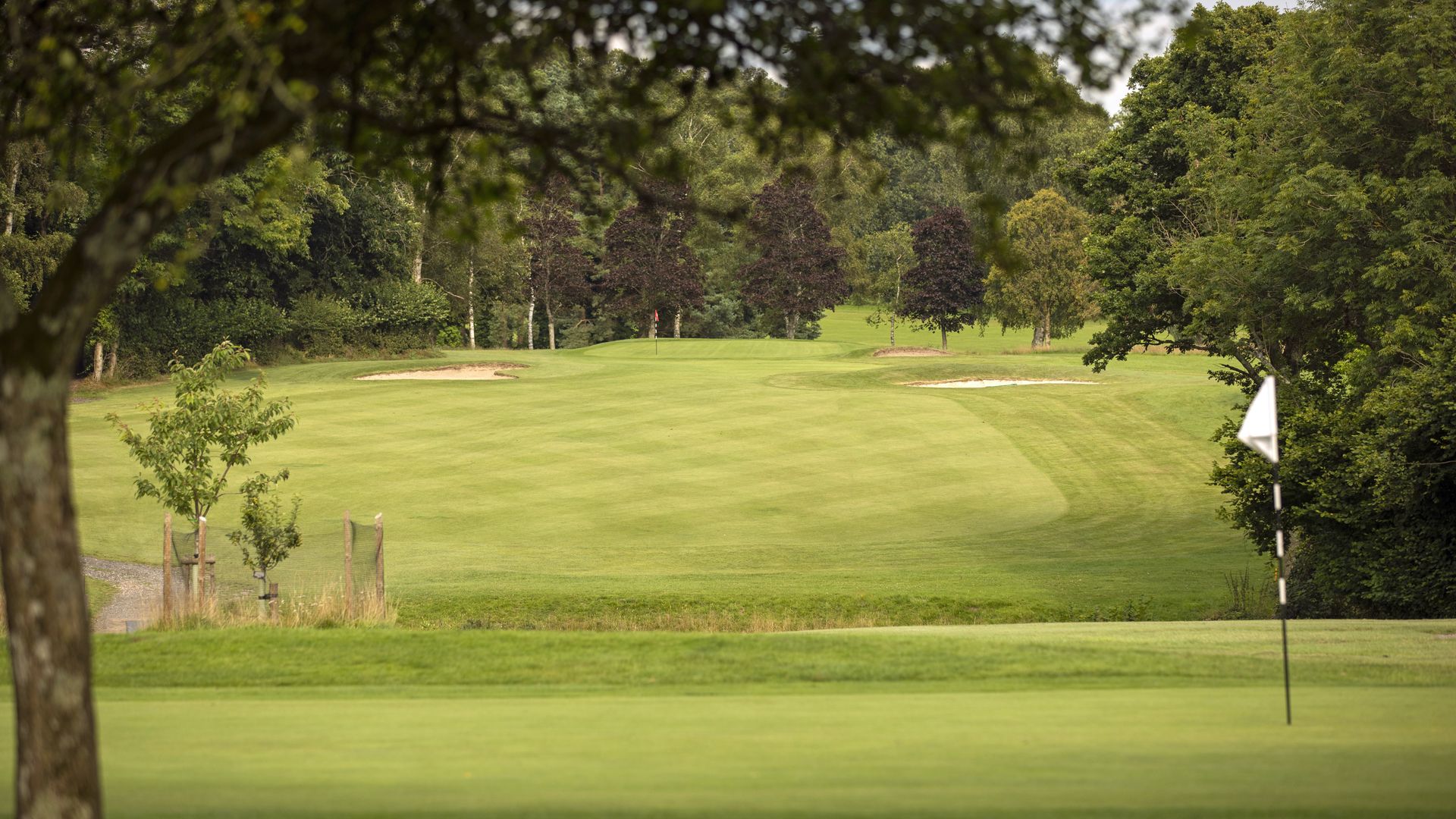 Bramshaw Golf Club Manor Course Review Golf Monthly