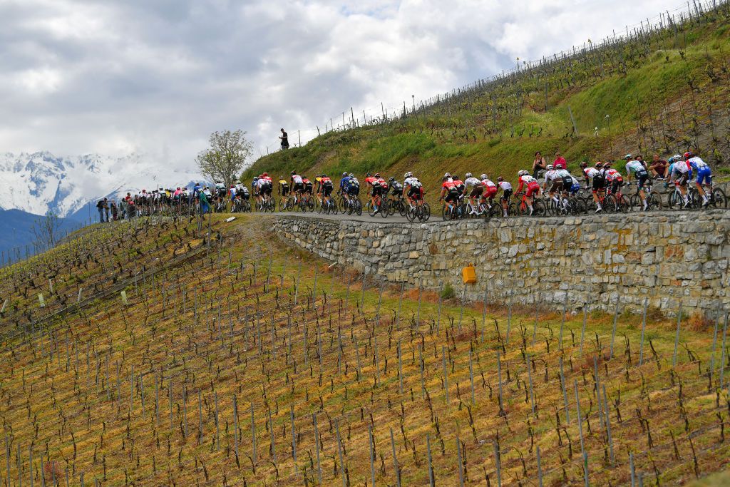 MARTIGNY SWITZERLAND APRIL 28 The peloton passing through vineyard landscape during the 74th Tour De Romandie 2021 Stage 1 a 1681km stage from Aigle to Martigny Mountains Snow TDR2021 TDRnonstop UCIworldtour on April 28 2021 in Martigny Switzerland Photo by Luc ClaessenGetty Images