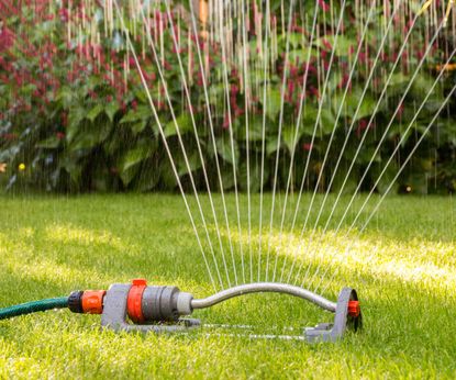 8 lawn care tasks: for perfect turf in your yard | Homes & Gardens