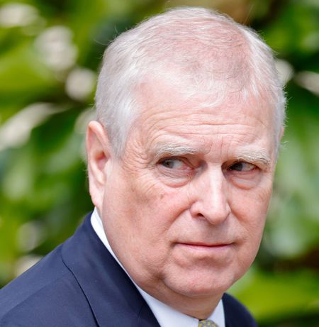 Andrew Mountbatten-Windsor wearing a navy suit walking in front of a bush