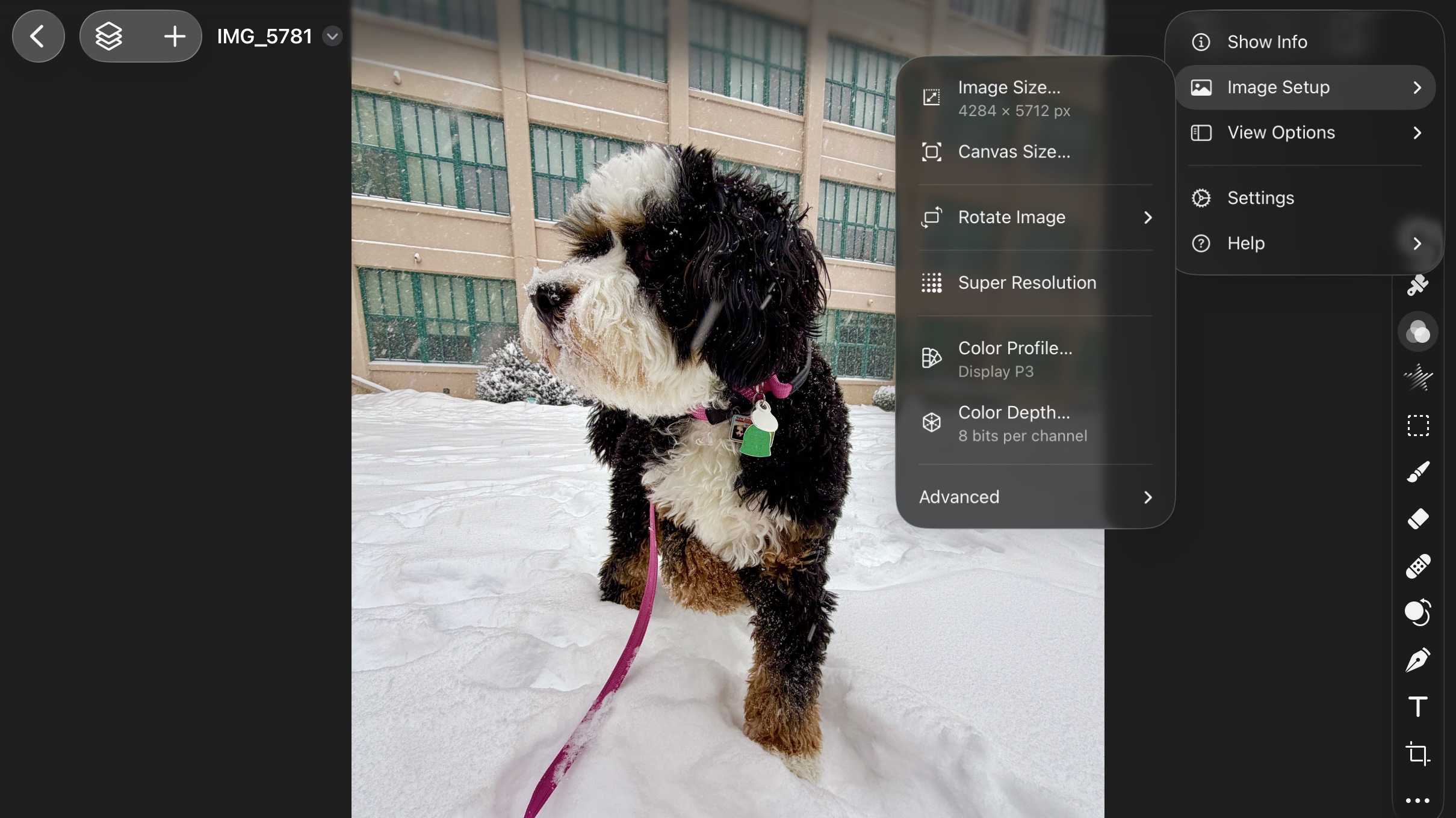 Pixelmator Pro on iPad, Apple Creator Studio