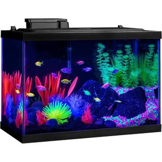 GloFish Aquarium Kit Fish Tank