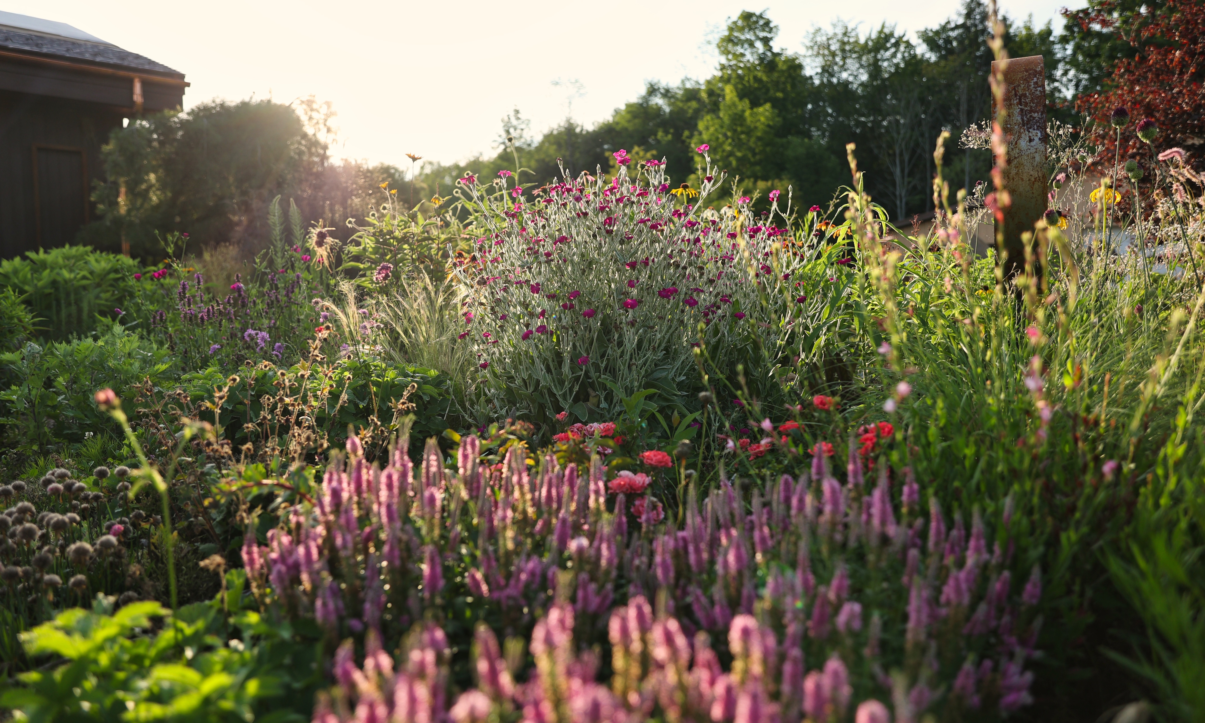 Flock Finger Lakes flower border