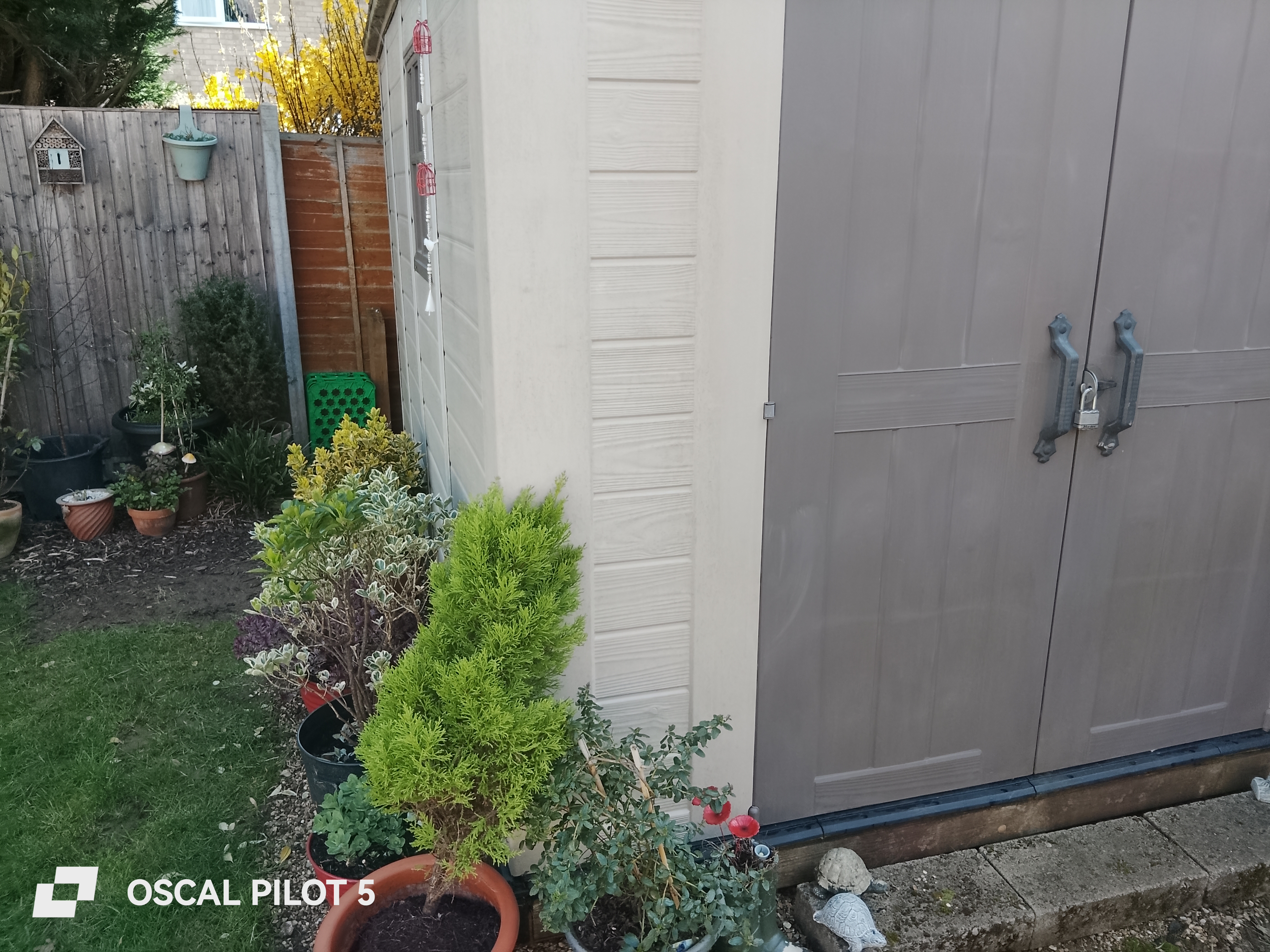 Oscal Pilot 5 Example Photos