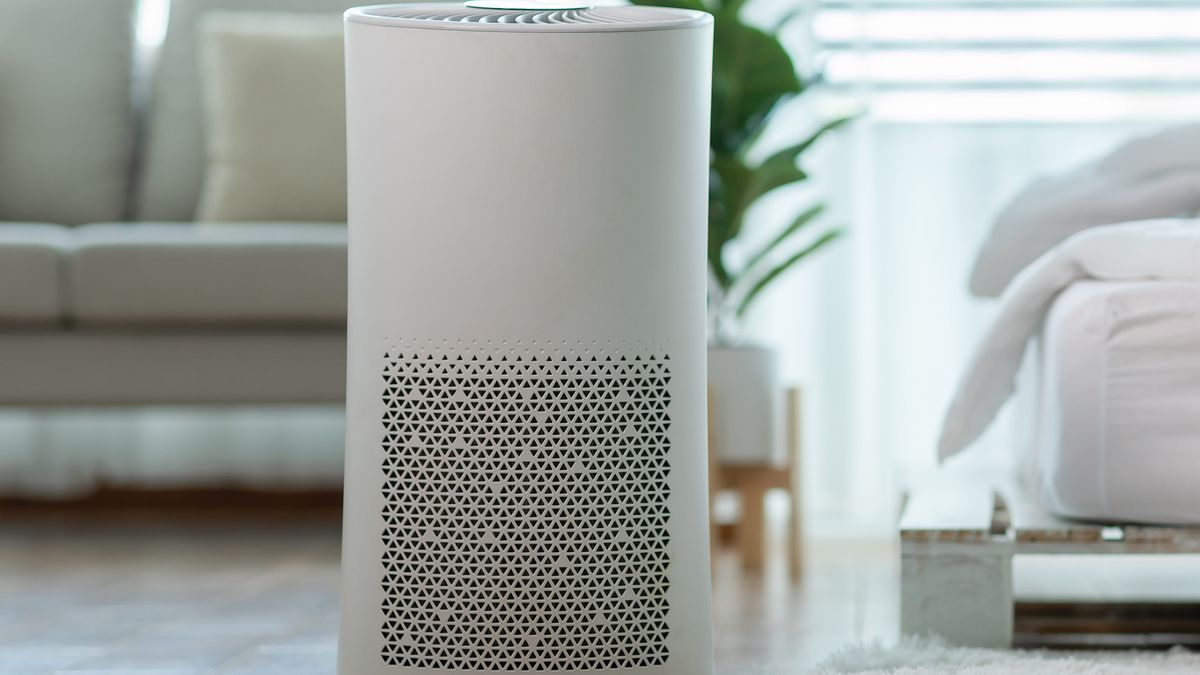 Xiaomi Air Purifier 4 Lite receives a price cut: Here's how much the air  purifier cost - Times of India