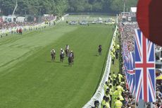 Action from the Epsom Derby Meeting: check out this fascinating facts