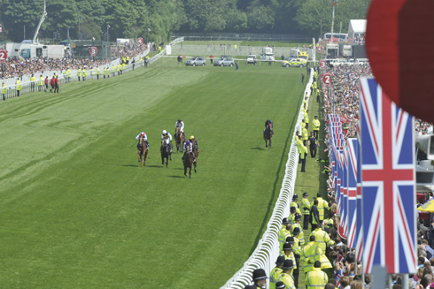 Action from the Epsom Derby Meeting: check out this fascinating facts