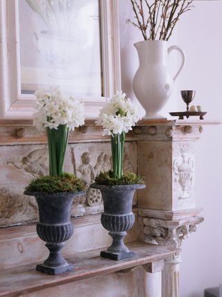 Spring flowers in French urns on a mantelpiece