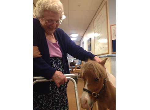 Lean on me: Monet makes a new friend in a care home