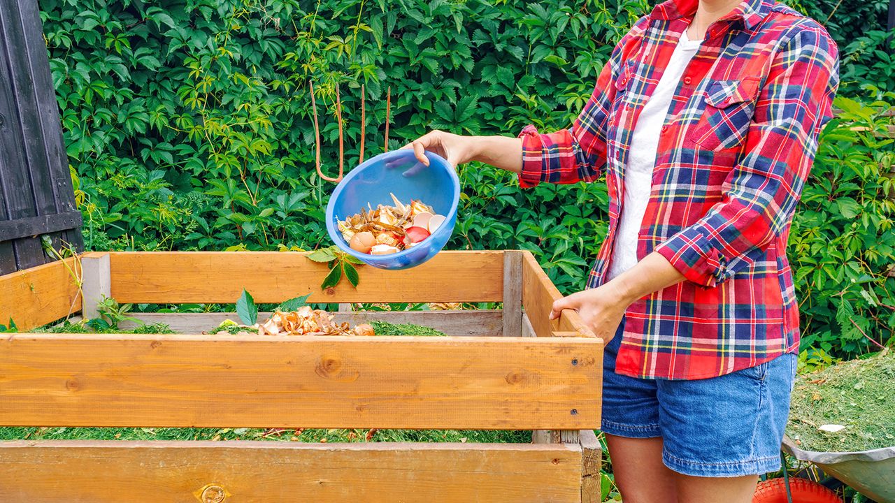 Gardener adds kitchen scraps to DIY wood composting bin