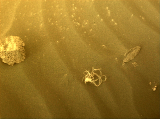 String-like material that the Perseverance rover photographed on the surface of Mars.