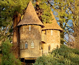 Tree house