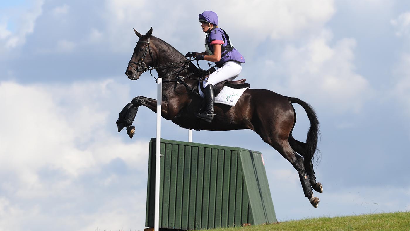 HorseNo80_Barbury14pn_14347.jpg