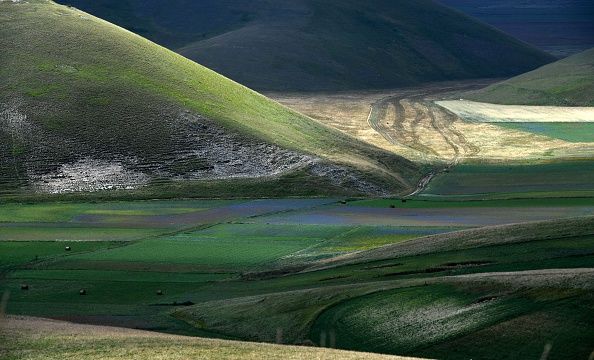 Fields in central Italy.