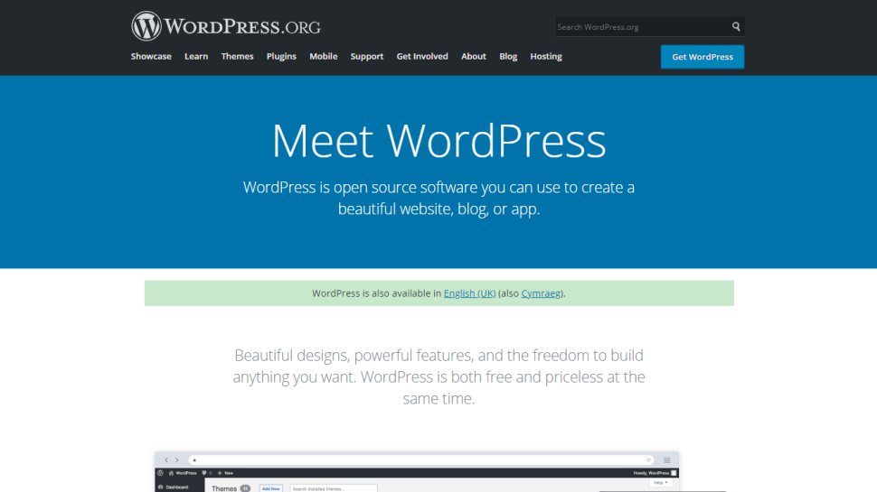 Website screenshot for WordPress