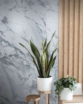 A room with grey marbled walls, wood panelling and wooden stalls decorated with houseplants