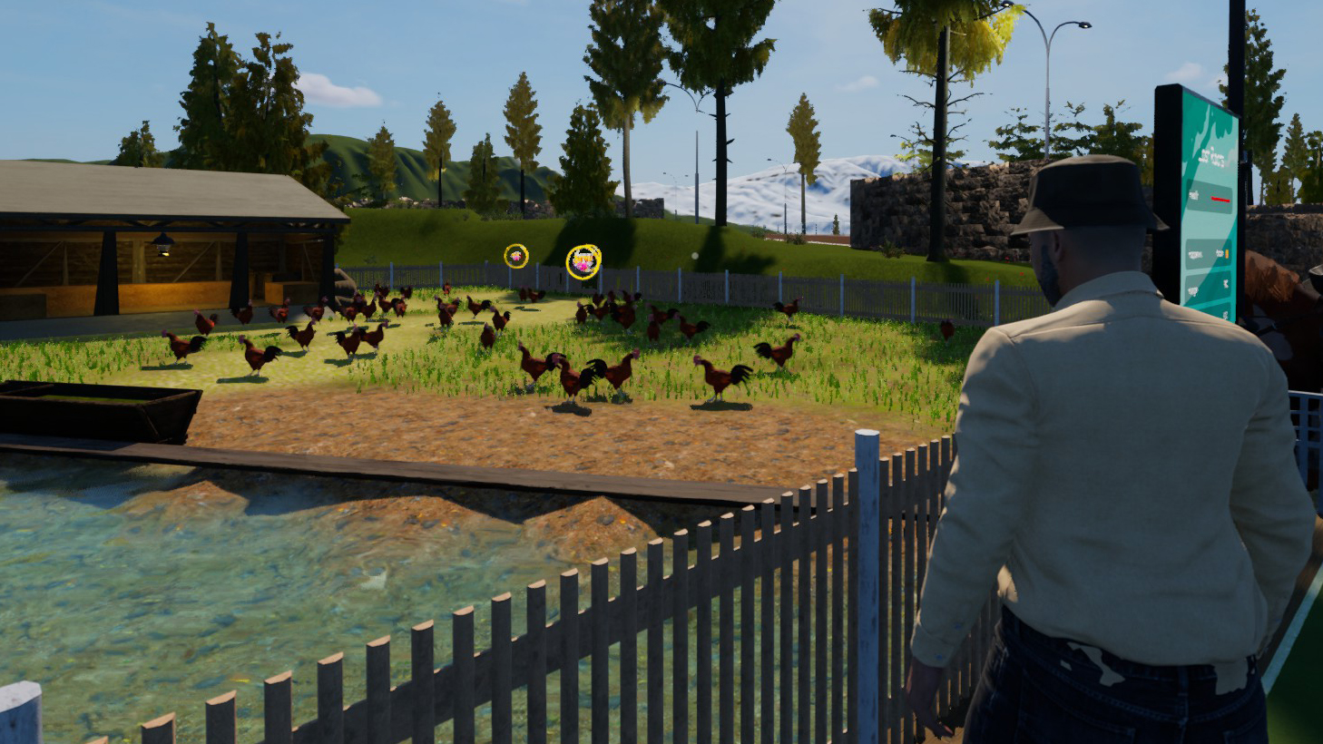 Animals and guests at a zoo