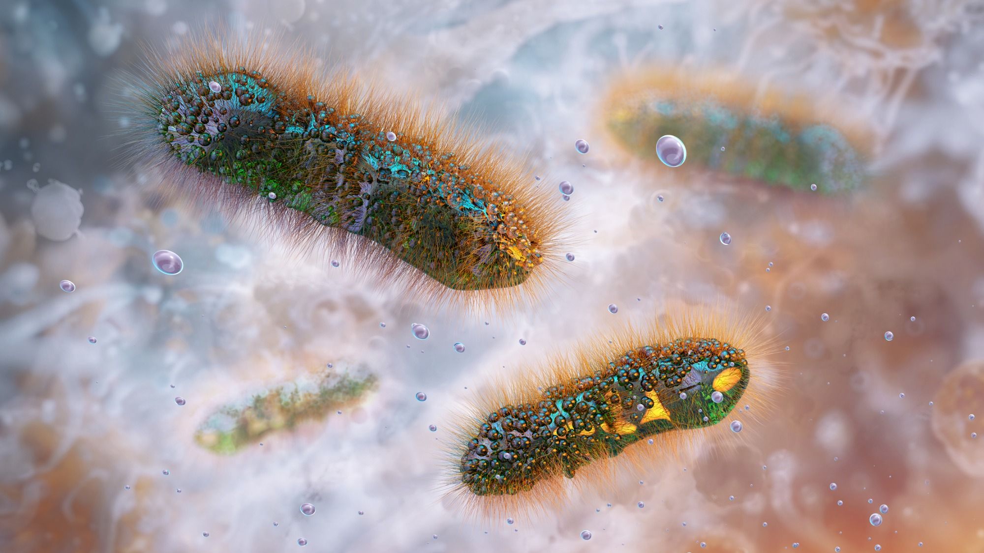 A sexually transmitted stomach bug is spreading in the US