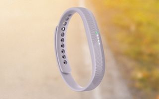 Fitbit Flex 2 (4/5)