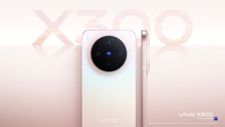 vivo X300