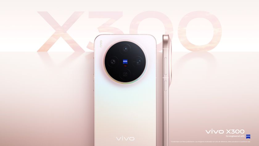 vivo X300