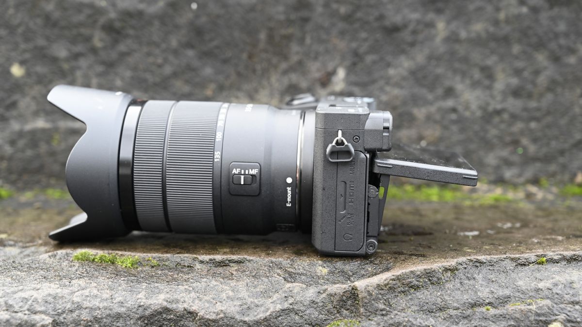 Sony A6600