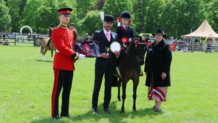 Arabella Pickles and Cosford Valour are 2026 Windsor mini champions.