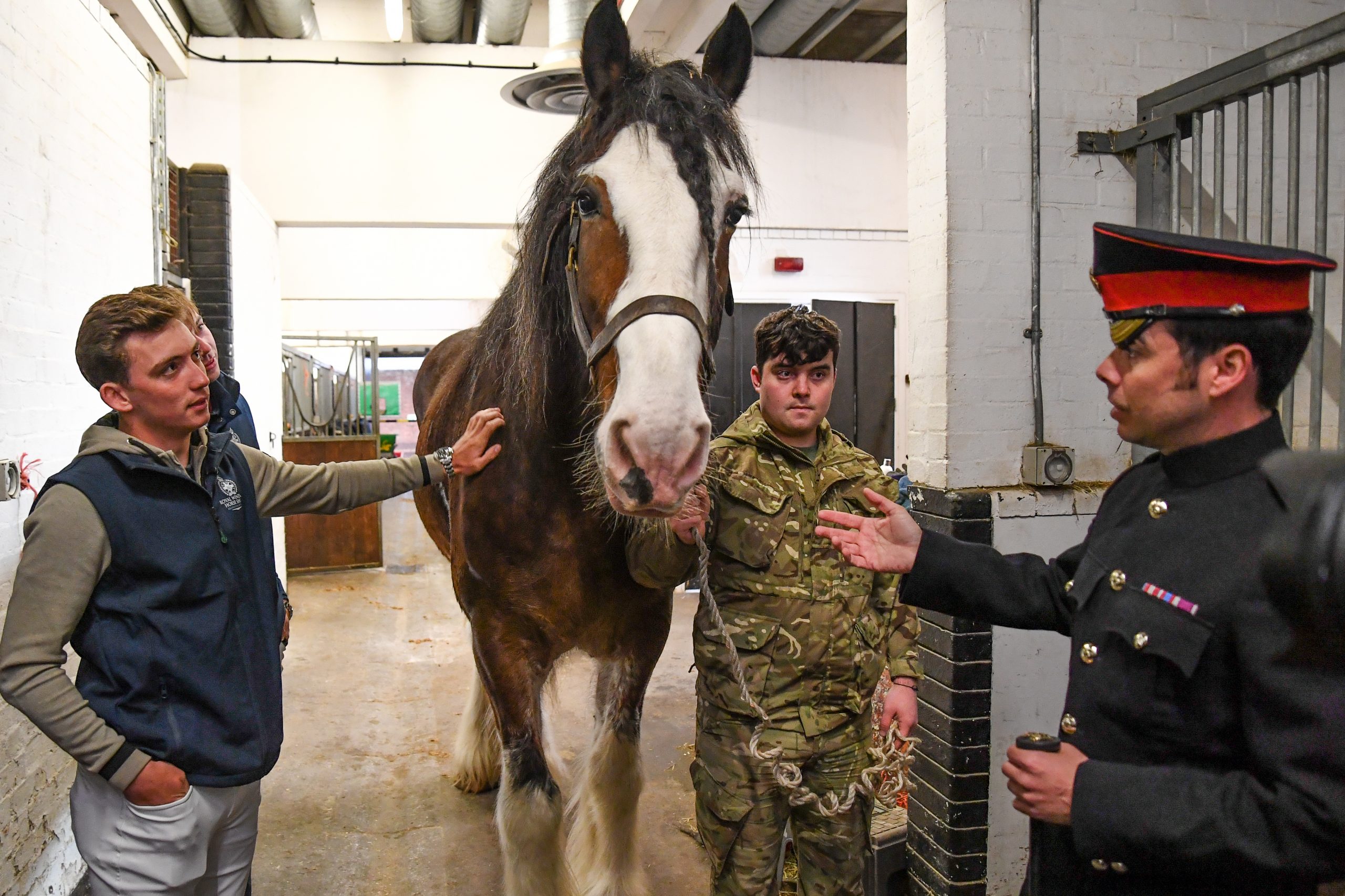 Jack Whitaker and Joe Stockdale go behind the scenes with the Household Cavalry at the Hyde Park Barracks in Central London