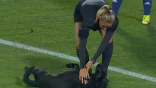 Dog interrupts soccer game for belly rub