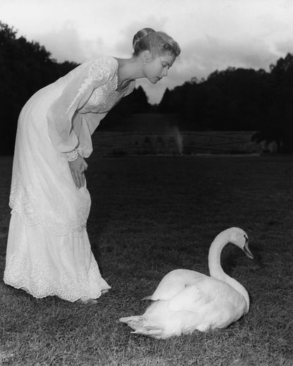 1956: Photos for 'The Swan'