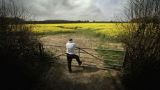 LONDON - APRIL 20: Farm worker Derek Packham looks out at a field of rapeseed on April 20, 2007 in Dorking, England.The distinctive yellow flowering crop now covers 3.5 percent of England's f