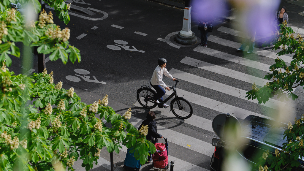 Bosch eBike Systems