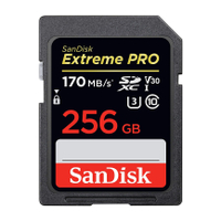 SanDisk Extreme PRO 256GB: £57.99