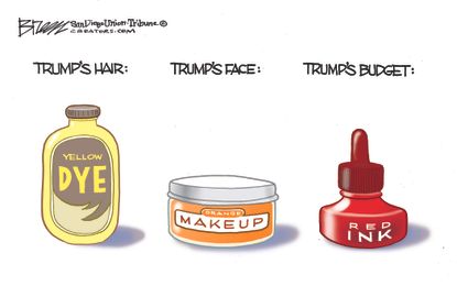 Political Cartoon U.S. Trump’s hair national emergency budget congress