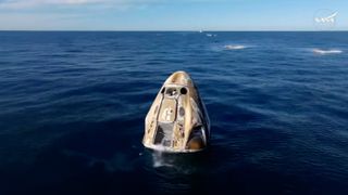 A SpaceX crew Dragon capsule bobs in the ocean off Florida after reentering Earth's atmosphere