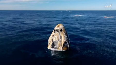 A SpaceX crew Dragon capsule bobs in the ocean off Florida after reentering Earth's atmosphere