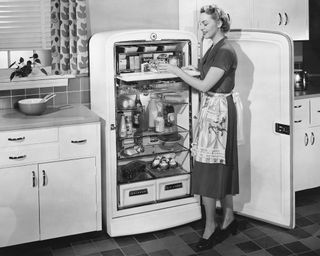 Original Fridge